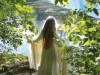 forest-quest-ii
