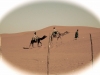 transahara_2013_017