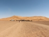 transahara_2013_041