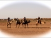 transahara_2013_173